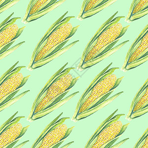 玉米棒子的无缝图案 绿色背景上有叶子 生态蔬菜植物 店铺设计 健康生活方式 包装 纺织品 手绘水彩插图 植物写实艺术图片