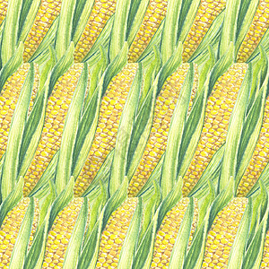 玉米棒子与叶子的无缝模式 与蔬菜植物的生态背景 店铺设计 健康生活方式 包装 纺织品 手绘水彩插图 植物写实艺术图片
