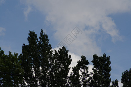 树前的标志桌子植物爬坡空气街道家庭天空团体森林男人图片