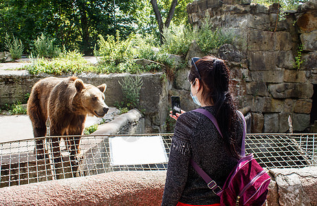 女孩在城市动物园用智能手机拍摄一只熊的照片公园愤怒娱乐旅行展示动物群荒野黑发宠物野生动物图片