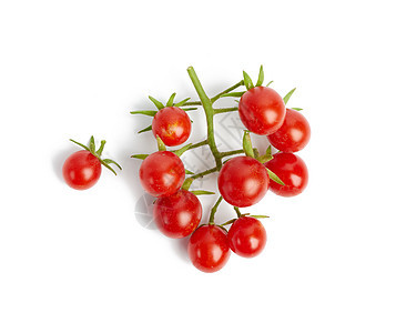 红樱桃番茄 白底水果和红樱桃树枝图片