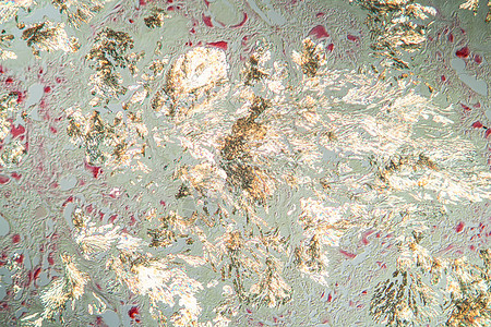 细胞组织组织第100节内的关节炎口腔结晶体组织学水晶放大镜生物学病理药品科学宏观薄片疾病背景图片