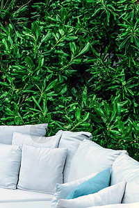 花园里沙发垫子的贴合图像庭院假期长椅结构植物装饰桌子椅子软垫奢华图片