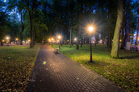 一个夜间公园 灯笼照亮的夜公园 有石路 树木 瀑布城市正方形人行道胡同路面反射街道阴影黑暗路灯图片