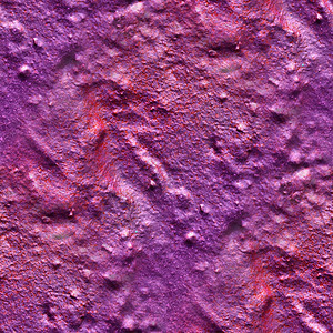 相片现实的 无缝的彩色涂料纹理图案树叶宏观岩石植物水泥照片渲染材料高分辨率石头背景图片