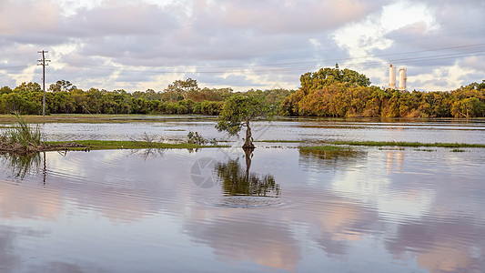 日落时湿地生态系统环境亚热带钓鱼沼泽状况衬套杂草适应性生活海洋图片