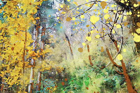 秋天树叶黄叶 秋季图象黄色季节性水彩绘画橙子艺术叶子植物插图季节图片
