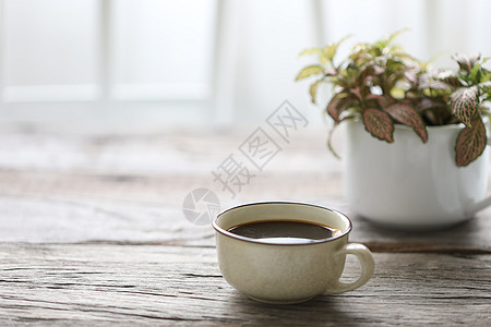 陈年咖啡杯中的咖啡和木制桌上的植物图片