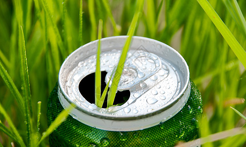 青草中的铝罐回收生长饮料环境垃圾生态苏打可乐圆圈瓶子图片