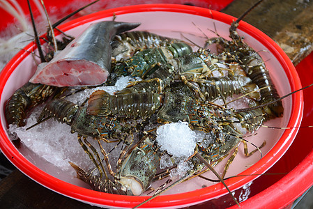 在新鲜海产食品市场销售龙虾支那旅行动物店铺美食摊位甲壳食物小贩情调图片