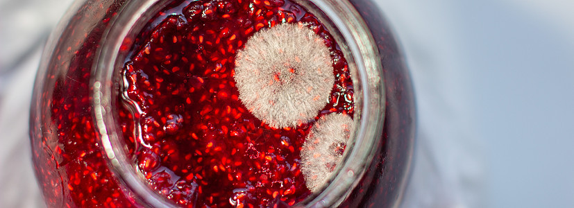装在一罐草莓果酱里 对健康有害病菌中毒霉菌真菌衰变孢子生活腐烂危险玻璃图片