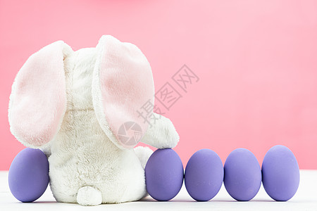 复活节日小兔子 小兔子和装饰鸡蛋兔子假期打猎传统礼物家庭微笑紫色天空猎人图片