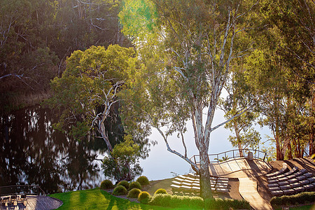 A河观光甲板上的清晨亮光公园本土天空自然景观辉光环境衬套叶子射线旅行图片
