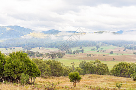 国家风景中的软云旅游居住农村自由地平线薄雾路线树木阳光季节图片