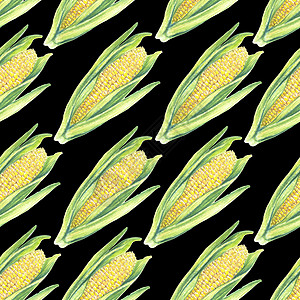 黑色背景上有叶子的玉米棒子的无缝图案 生态蔬菜植物 店铺设计 健康生活方式 包装 纺织品 手绘水彩插图 植物写实艺术图片