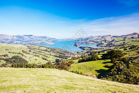 新西兰的班克斯半岛Name爬坡太阳银行场地农场山脉草地支撑风景海岸图片