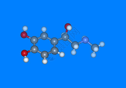 带有原子的肾上肾上腺医学分子模型背景图片