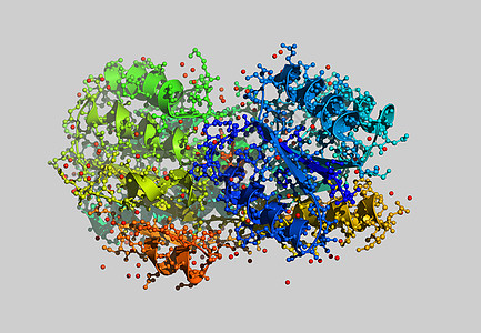 含有原子的蛋白因分子模型图片科学色带计算机力量债券图片
