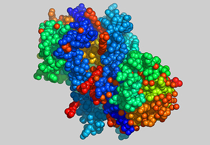 含有原子的蛋白因分子模型科学债券图像计算机力量图片