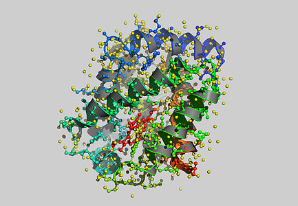 Hmoglobin 原子分子模型力量债券色带计算机科学图片图片