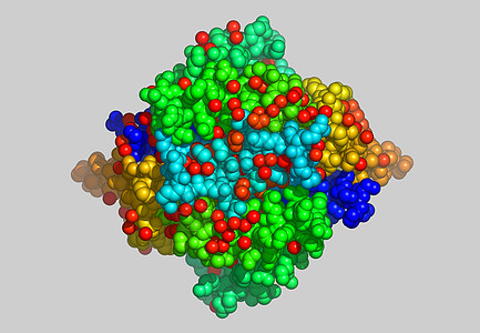 含有原子的蛋白因分子模型酵素力量免疫系统债券计算机图像科学图片