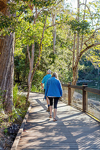 在雨林中行走的退休夫妇图片