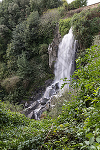 环绕着绿绿的瀑布植物热带溪流荒野假期风景运动树木叶子旅游图片