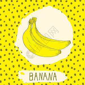 香蕉手画的水果草图 以圆点模式作为背景叶子 Doodle 矢量香蕉用于标识 标签 品牌特性热带小吃甜点徽章饮食公司插图涂鸦果汁食图片