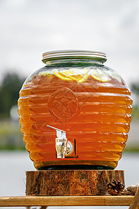 夏日派对上冰水饮料酒精柠檬薄荷野餐桌子水壶排毒玻璃榨汁机水果图片