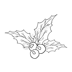 Holly Leves和Berries手画的图标 草图大纲 矢量说明在白色上被孤立新年叶子绘画手绘花圈装饰风格剪贴簿植物水果图片