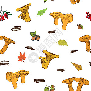 蘑菇手画草图 无缝模式 矢量说明烹饪帽子手绘美食食物叶子健康篮子饮食蔬菜图片