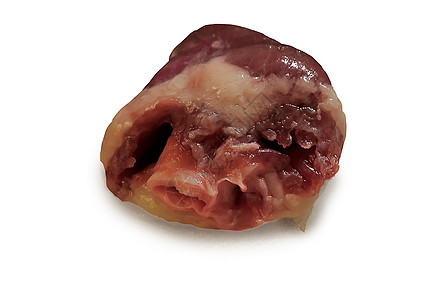 鸡的心脏树干心脏病学动物身体动脉房室药品胸部速度生物学图片