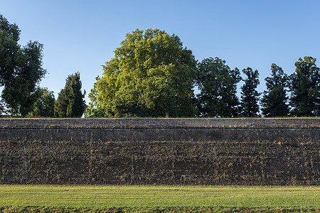 意大利托斯卡纳的Luca 沿路和砖墙 旧防守长城一排树木和绿草长廊旅游小路场景墙壁历史晴天天空植物草地图片