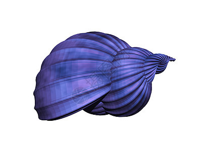 扭曲的彩色螺蜗贝壳旋转骨架住房石灰螺旋蜗牛蜗牛壳图片