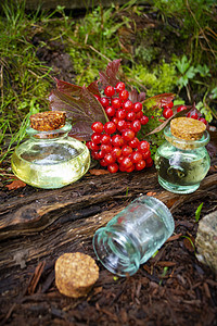 美丽的小玻璃瓶里天然背景上的维伯南的精华图片