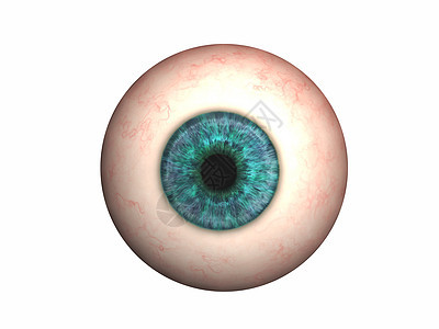 带透镜和虹膜的眼球瞳孔光学鸢尾花视网膜器官血管圆形图片