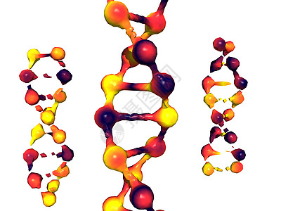 双重螺旋DNA作为遗传物质的载体红色科学原子遗传学黄色图片