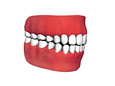 有红口香糖和完美白牙的比特犬齿白色臼齿搪瓷门牙牙龈牙齿红色食物假牙图片