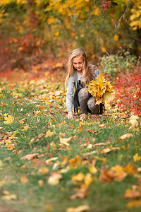 美丽的小女孩 秋叶 在公园的秋叶叶子孩子季节乐趣微笑森林喜悦衣服女孩情感图片