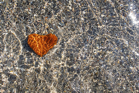 沙滩上的橙色心形石头岩石碎石海岸鹅卵石环境海洋卵石材料假期橙子图片