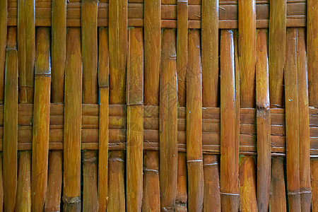 木制网或木的背面园艺划痕家庭硬木树叶桌子植物木头地面木板图片