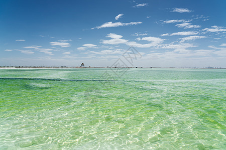 绿色盐湖 天然湖底背景反射结晶池塘支撑盐水海岸蓝色风景吸引力环境图片