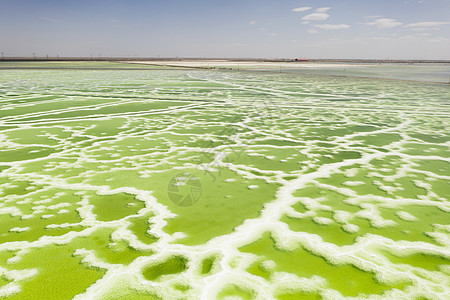 绿色盐湖 天然湖底背景支撑结晶假期海岸环境旅游池塘热带天线反射图片