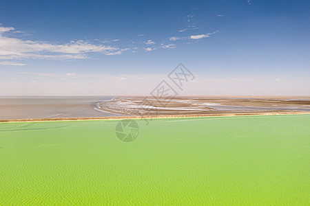 绿色盐湖 天然湖底背景支撑吸引力风景旅游水晶旅行海洋海岸结晶海滩图片