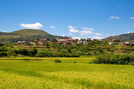 绿地和绿地的景观照照照 西南旅行森林全景房子土壤热带栽培旅游植物群农业图片