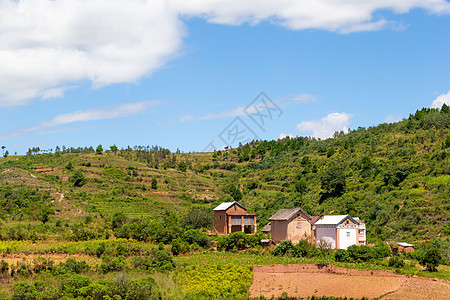 绿地和绿地的景观照照照 西南植物群旅游农业荒野冒险热带天空土壤全景公园图片