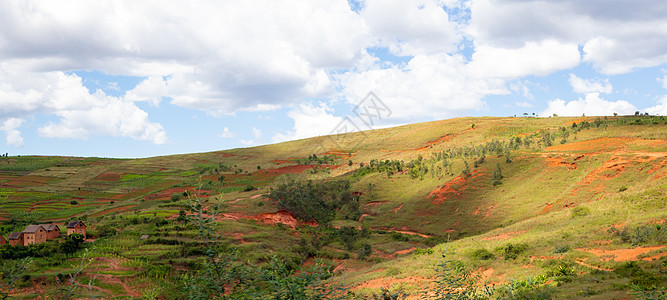 绿地和绿地的景观照照照 西南风景热带环境植物天空丛林冒险全景旅游森林图片