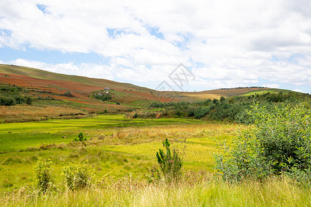 绿地和绿地的景观照照照 西南冒险全景栽培高原丛林植物风景公园热带旅行图片