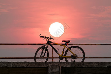 在混凝土桥上骑着美丽的山车场地自行车运输公园森林天空假期太阳生活艺术图片