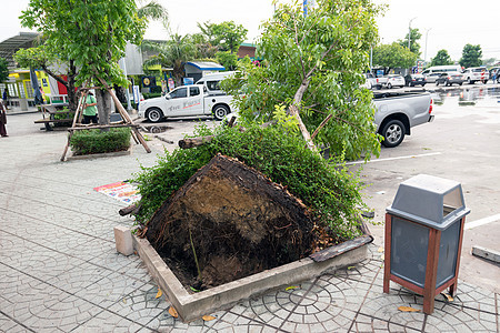 风暴和雨引起的事故飓风雷雨维修树干气候分支机构注意力汽车车辆粉碎图片